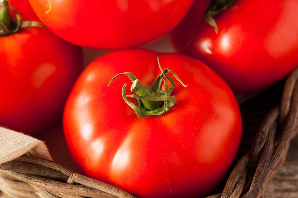 Råa ekologiska röd biff tomater — Stockfoto