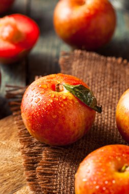 Ham organik Dinosaur yumurta Pluots