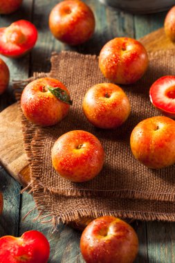 Ham organik Dinosaur yumurta Pluots