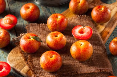 Ham organik Dinosaur yumurta Pluots