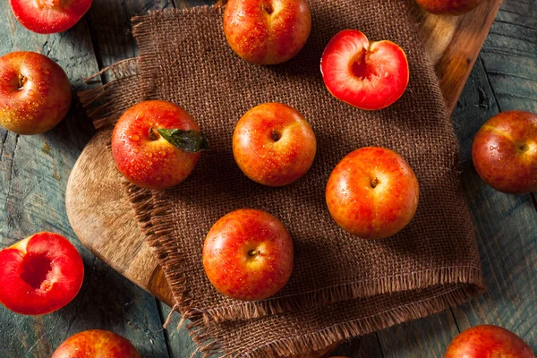 Raw Organic Dinosaur Egg Pluots — Stock Photo, Image