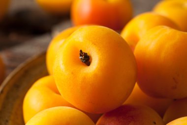 Ham organik sarı Plumcots