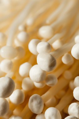 Ham organik Enoki mantar