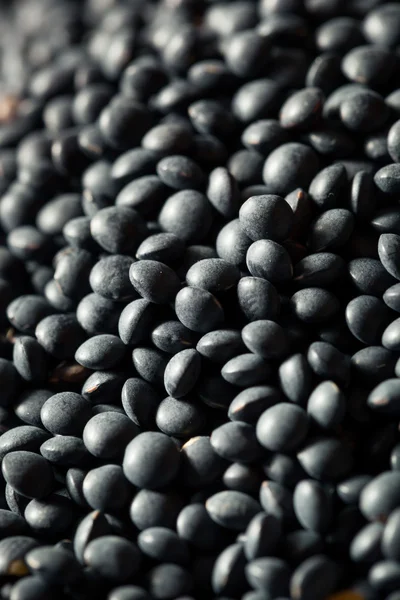 Raw Organic Black Lentils — Stock Photo, Image
