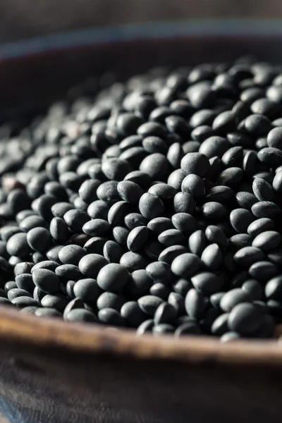 生有機黒レンズ豆 — ストック写真