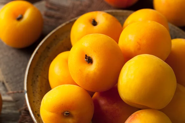 Surové organické žlutá Plumcots — Stock fotografie