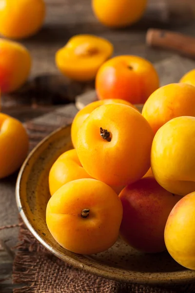 Surové organické žlutá Plumcots — Stock fotografie