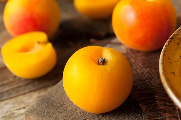 Plumcots amarillos orgánicos crudos — Foto de Stock