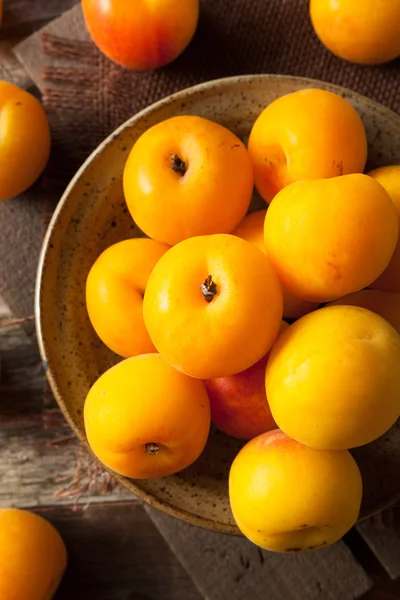 Plumcots amarillos orgánicos crudos — Foto de Stock