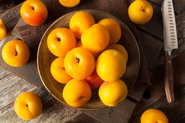 Surové organické žlutá Plumcots — Stock fotografie