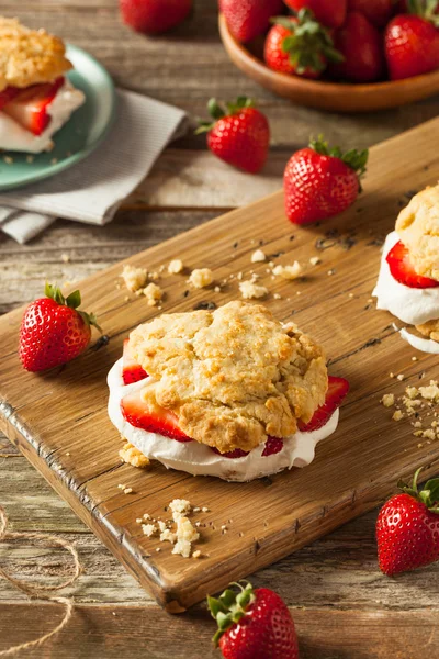 Homemade Strawberry Shortcake with Whipped Cream — Stock Photo, Image