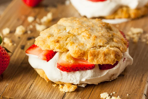 Bolo de morango caseiro com chantilly — Fotografia de Stock