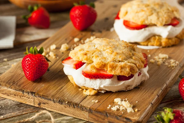 Bolo de morango caseiro com chantilly — Fotografia de Stock