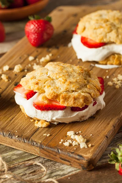 Zelfgemaakte aardbei shortcake met slagroom — Stockfoto