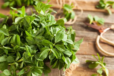 Ham organik Çemen Methi yaprakları
