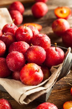 Taze ham organik kiraz Erik