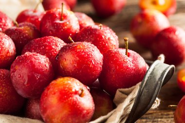 Taze ham organik kiraz Erik