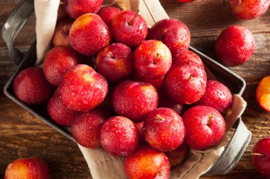 Taze ham organik kiraz Erik