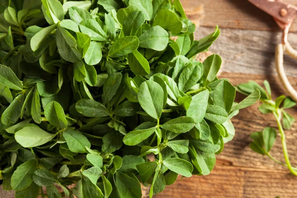 Rauwe biologische fenegriek Methi bladeren — Stockfoto