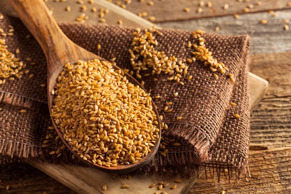 Сырые органические семена золотого льна — стоковое фото
