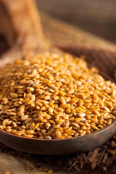 Ham organik altın keten tohumu — Stok fotoğraf