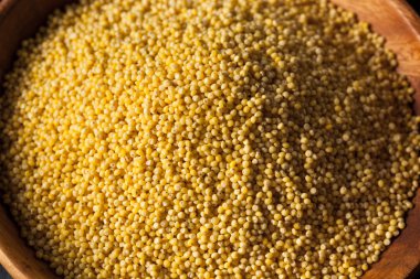 Ham organik sağlıklı darı