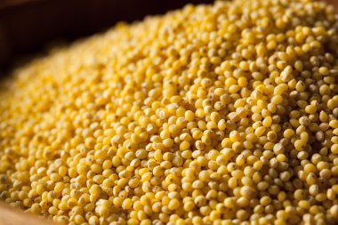 Ham organik sağlıklı darı