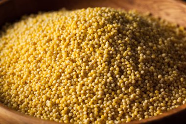 Ham organik sağlıklı darı