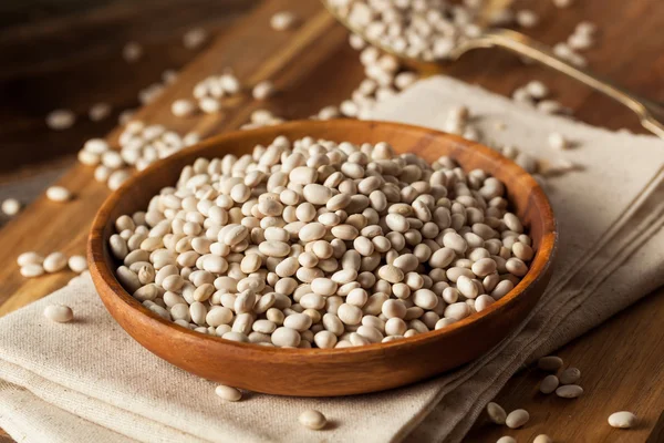 Raw Organic White Navy Beans — Stock Photo, Image