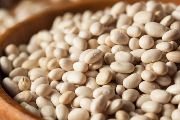 Raw Organic White Navy Beans — Stock Photo, Image