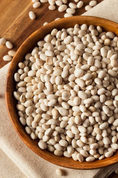 Raw Organic White Navy Beans — Stock Photo, Image