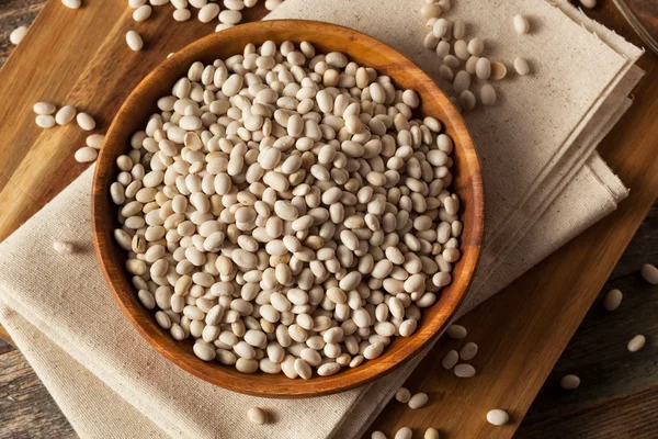 Raw Organic White Navy Beans — Stock Photo, Image