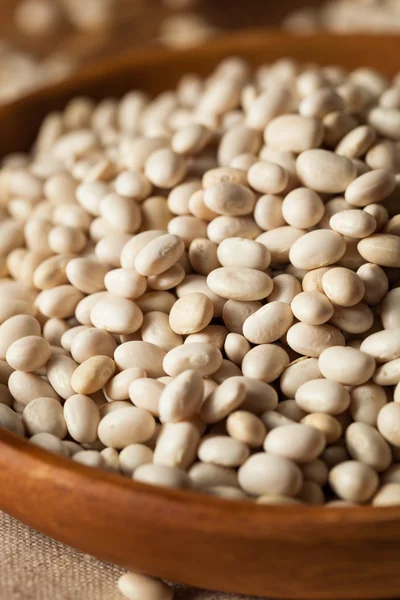 Raw Organic White Navy Beans — Stock Photo, Image