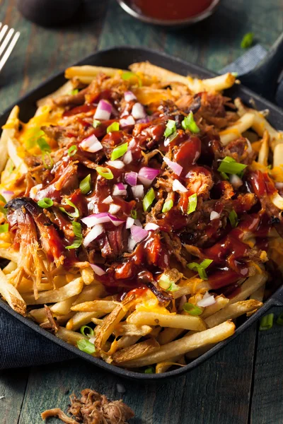 Zelfgemaakte Bbq Pulled Pork Franse frietjes — Stockfoto