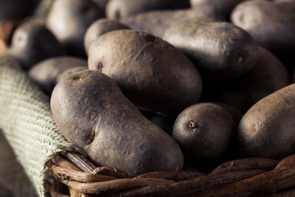 Raw Organic Purple Potatoes — Stock Photo, Image