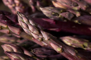 Ham organik mor kuşkonmaz Spears