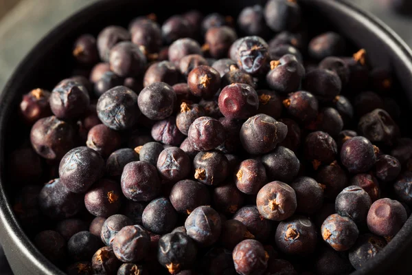 Raw Organic Juniper Berries — Stock Photo, Image