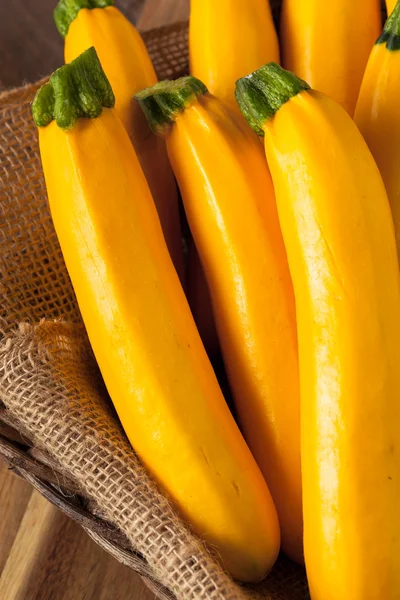 Zucchine gialle biologiche crude Squash — Foto Stock