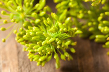 Ham organik dekapaj dereotu