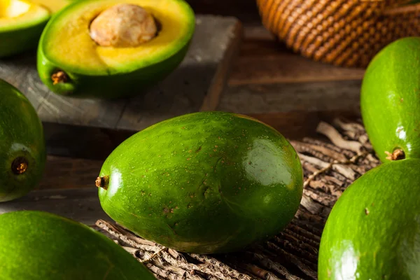 Aguacates verdes crudos orgánicos de la Florida — Foto de Stock