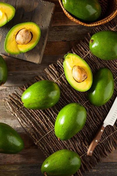 Rauwe groene biologische Florida avocado 's — Stockfoto