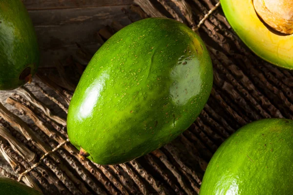 Aguacates verdes crudos orgánicos de la Florida — Foto de Stock