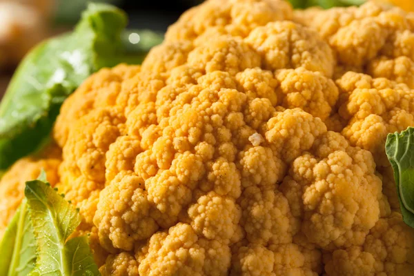 Raw Organic Orange Cauliflower — Stock Image Raw Organic Orange Cauliflower Stock Photo
