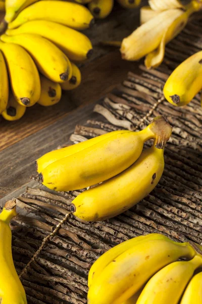 Banane da bambino gialle biologiche crude — Foto Stock