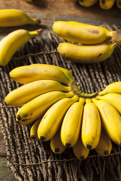 Banane da bambino gialle biologiche crude — Foto Stock