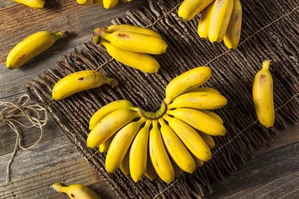 Bananas amarillas orgánicas crudas del bebé —  Fotos de Stock