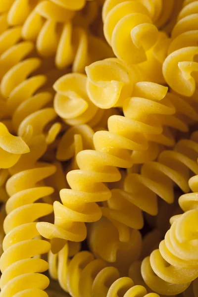 원료 건조 유기 Fusilli 파스타 — 스톡 사진