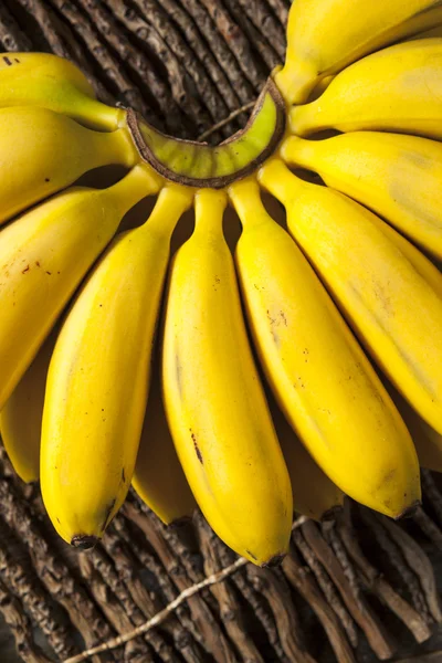 Bananes Pour Bebes Images Libres De Droit Photos De Bananes Pour Bebes Depositphotos