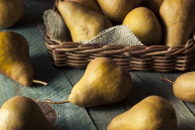 Ham organik yeşil ve kahverengi Bosc armut