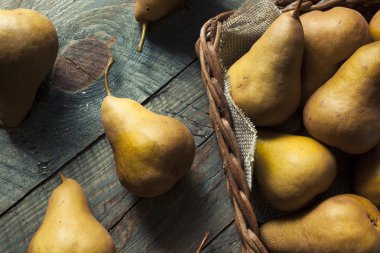 Ham organik yeşil ve kahverengi Bosc armut